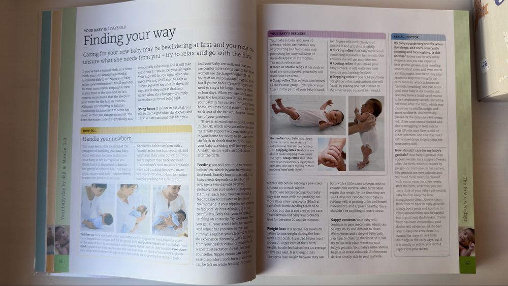 The Day-by-day Baby Book