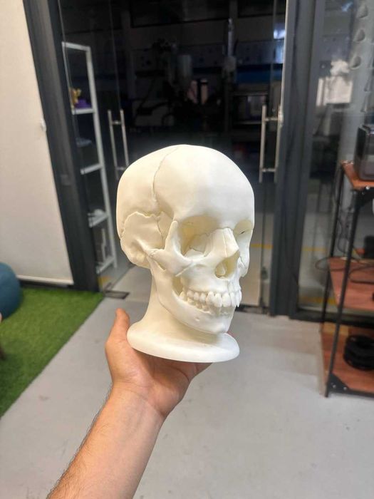 3D PRINT – kreativ buyumlar
3D Печать – креативные изделия на заказ