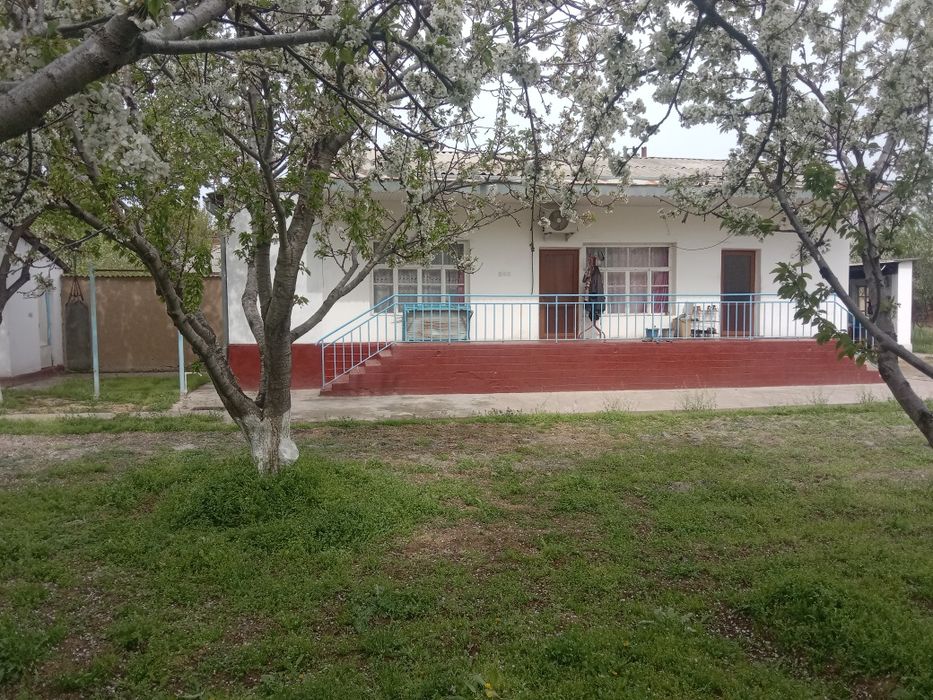 Срочна сотилади котта ховли