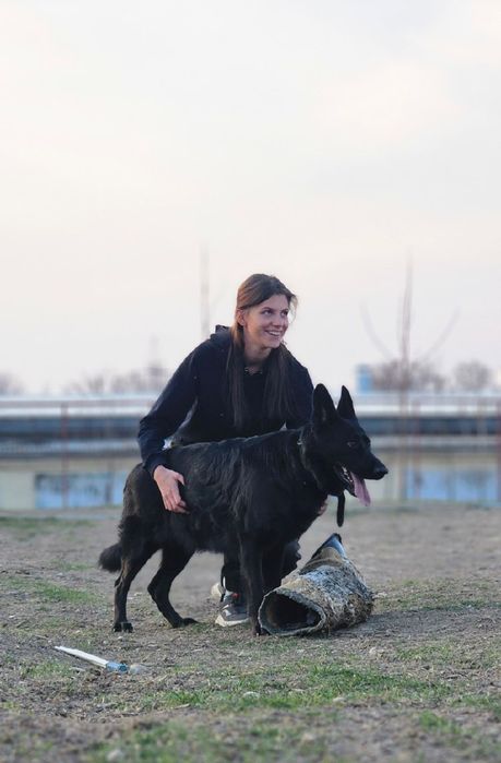 Кинолог ‐ дрессировка собак