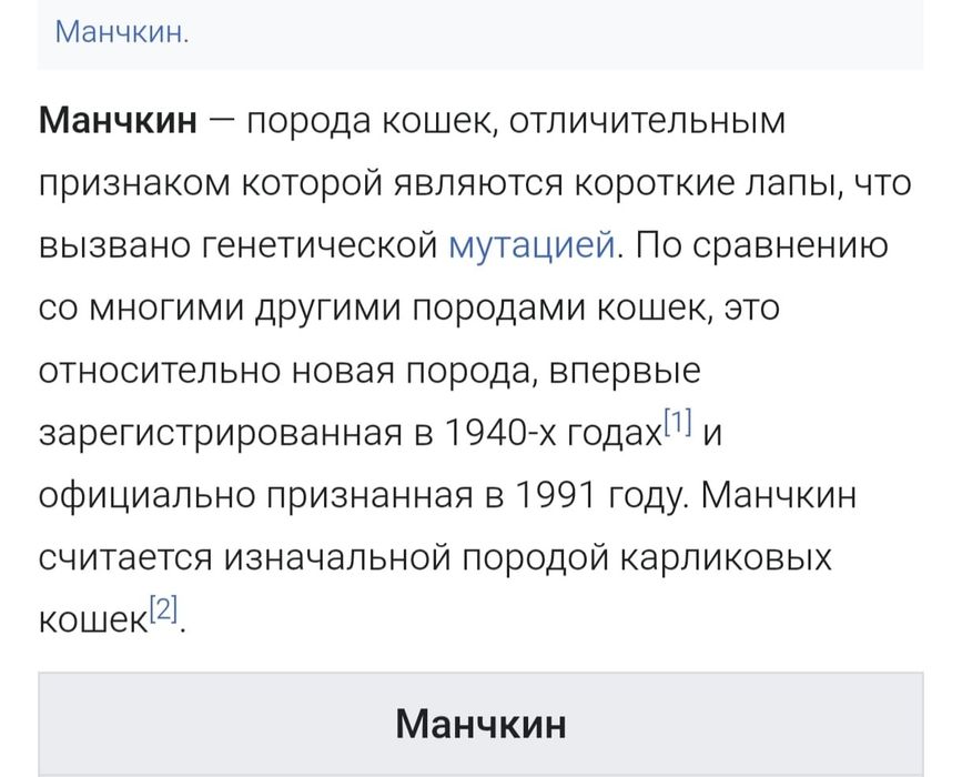 В продаже очаровательные Манчкин