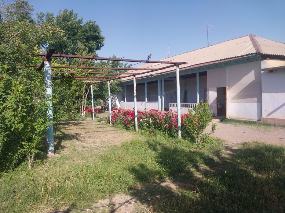 Zomin tumani Bogishamol qishlogida xamma sharoyitga iga xovli sotiladi