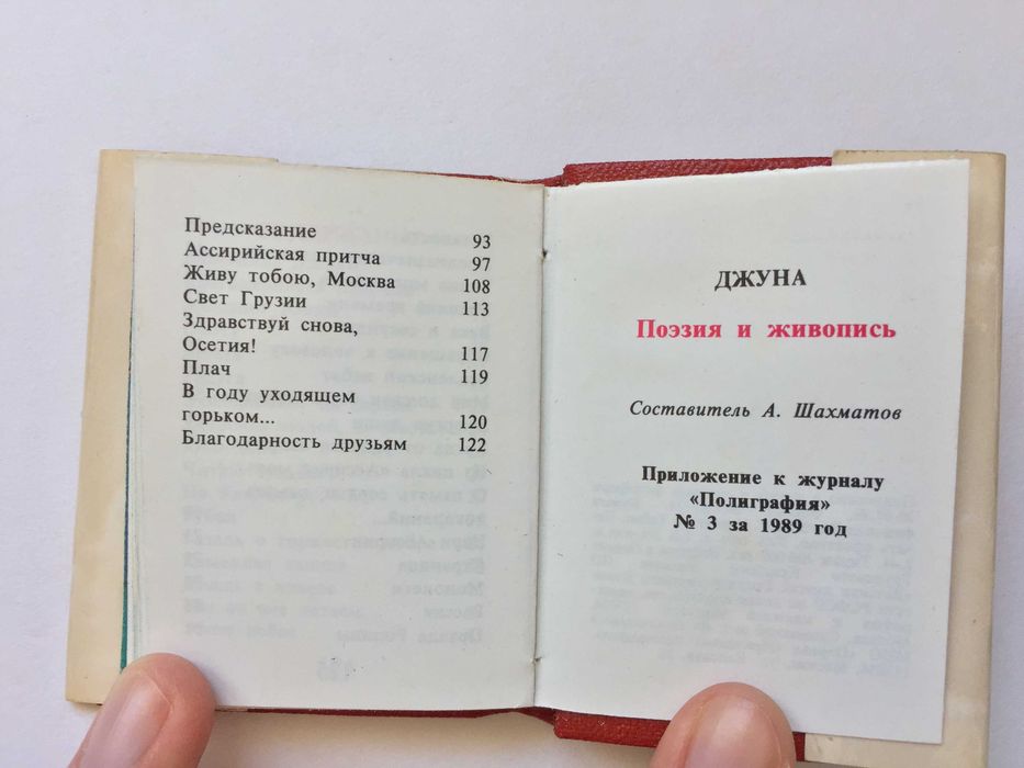 Джуна Поэзия и живопись Книга-миниатюра