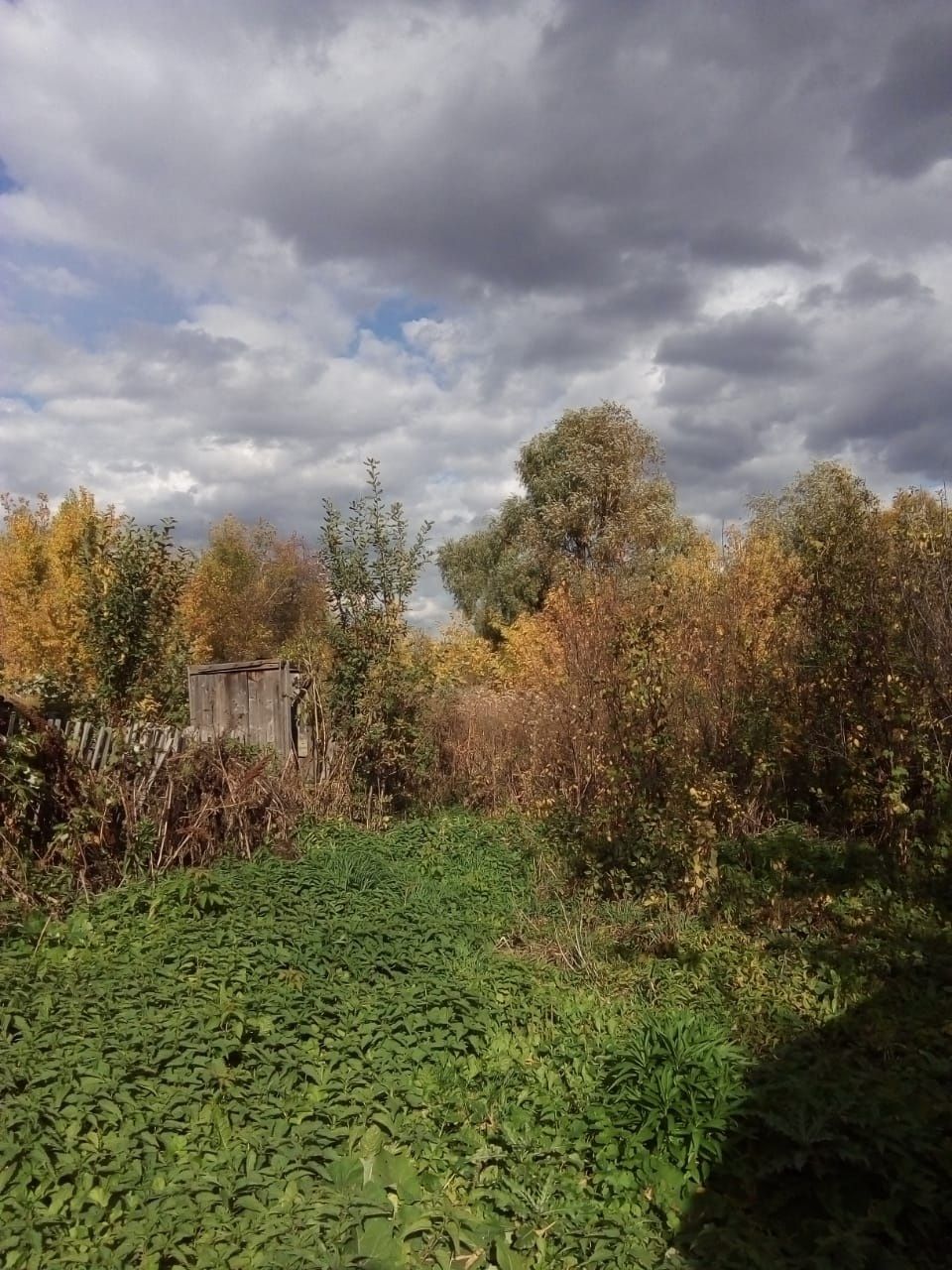 Участок усть каменогорск. Участок усть каменогорск. Участок усть каменогорск. Поселок согра в усть каменогорске. Участок усть каменогорск.