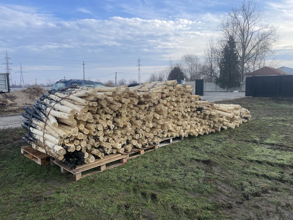 Stalpi/Pari de salcam pentru gard