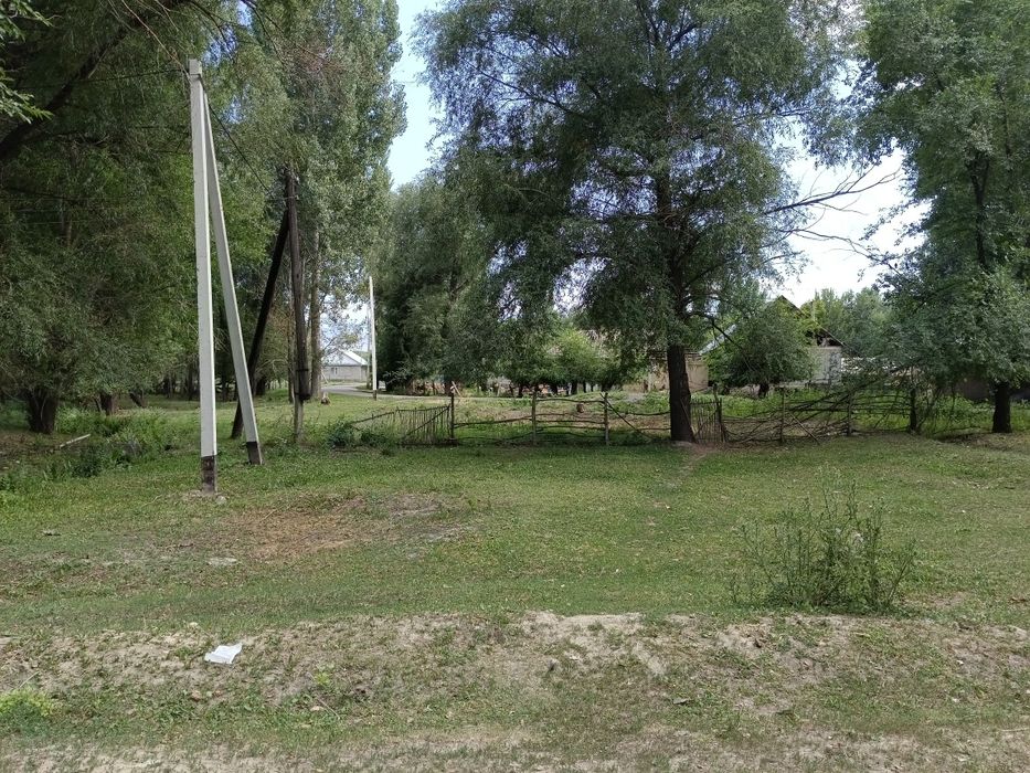 Земля 1 гектаров