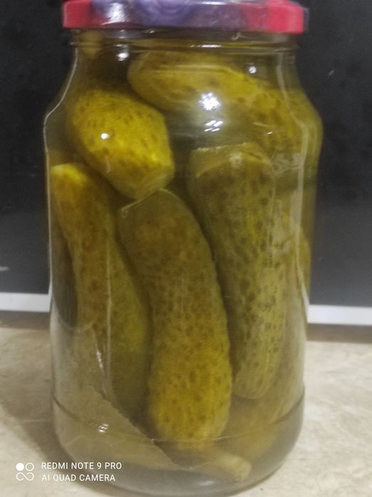 Домашние соленья