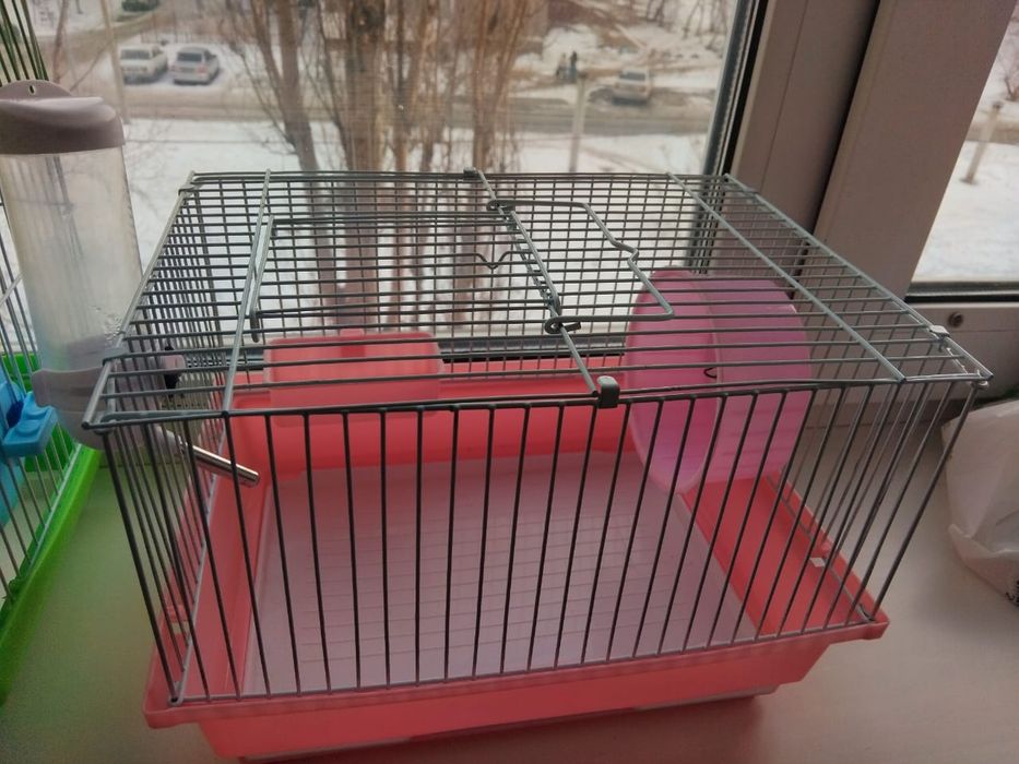 Клетки для грызунов
