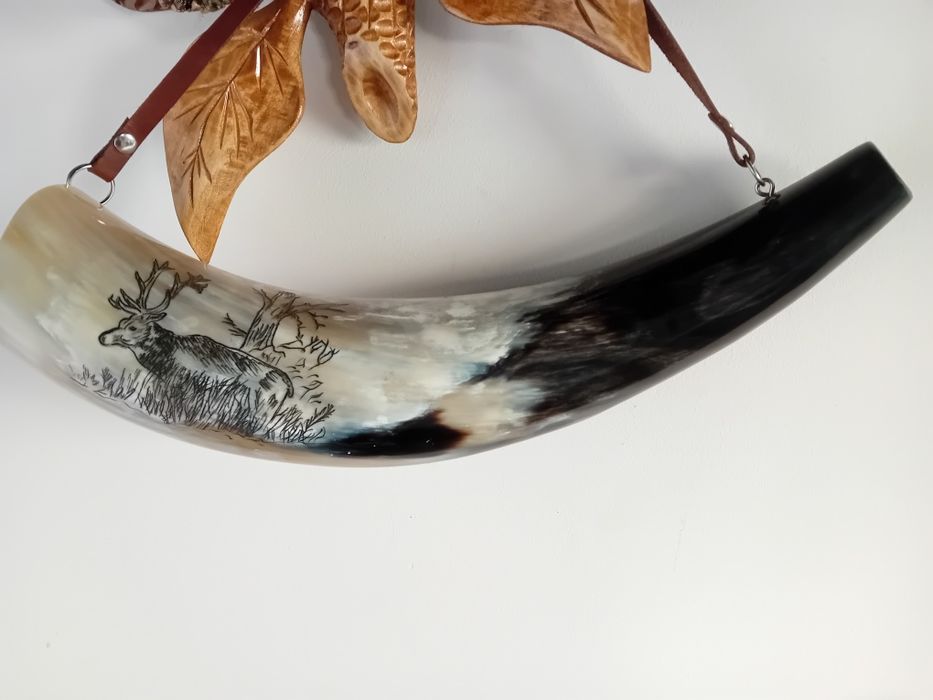 Trofee caprior coarne