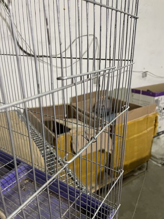 Qafas narxi vapshem arzon