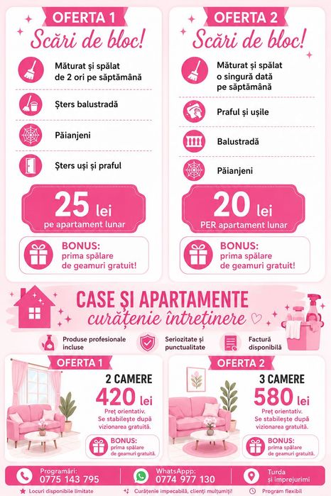 Curățenie generală/întretinere