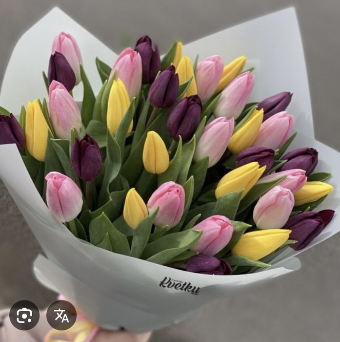 Тюльпаны из голандии