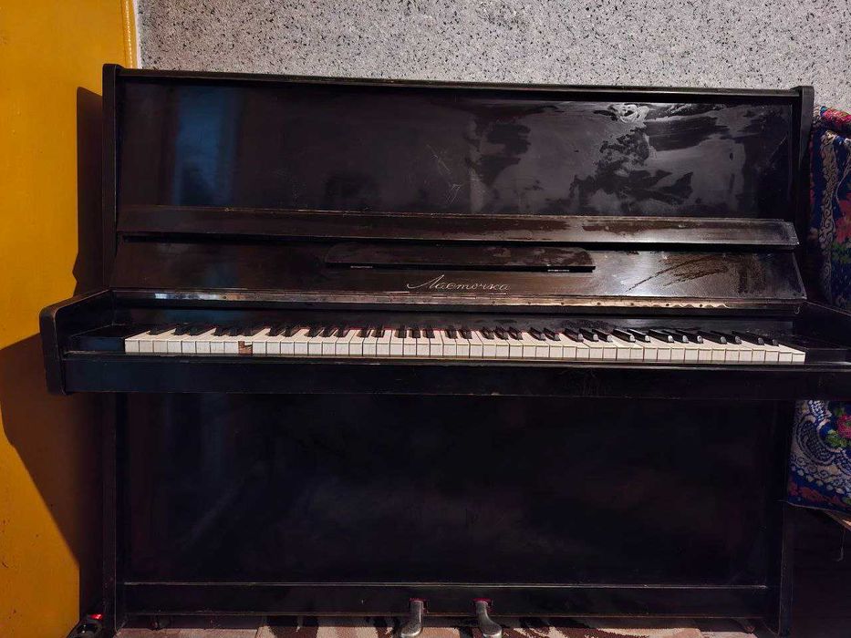 Pianino lastochka srochna sotiladi guliston