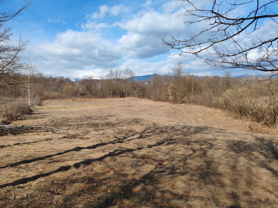 Vând 5000 mp in Albești / 10 km de Câmpulung Muscel