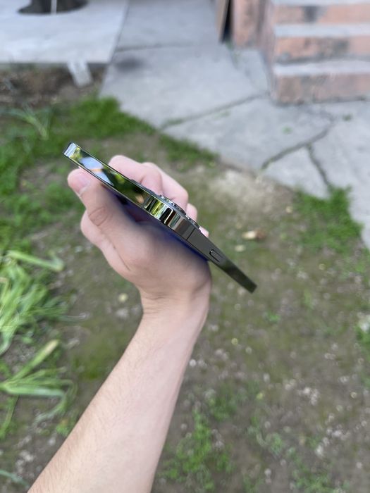 iPhone 12 Pro Max 256 Gb