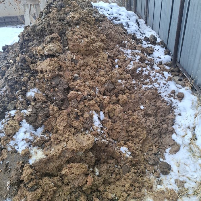 Отдам бесплатно навоз