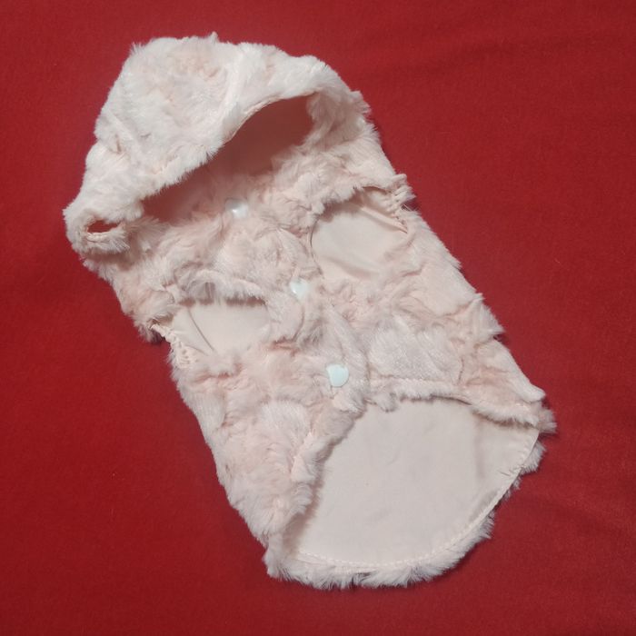 Новая одежда для маленьких собачек