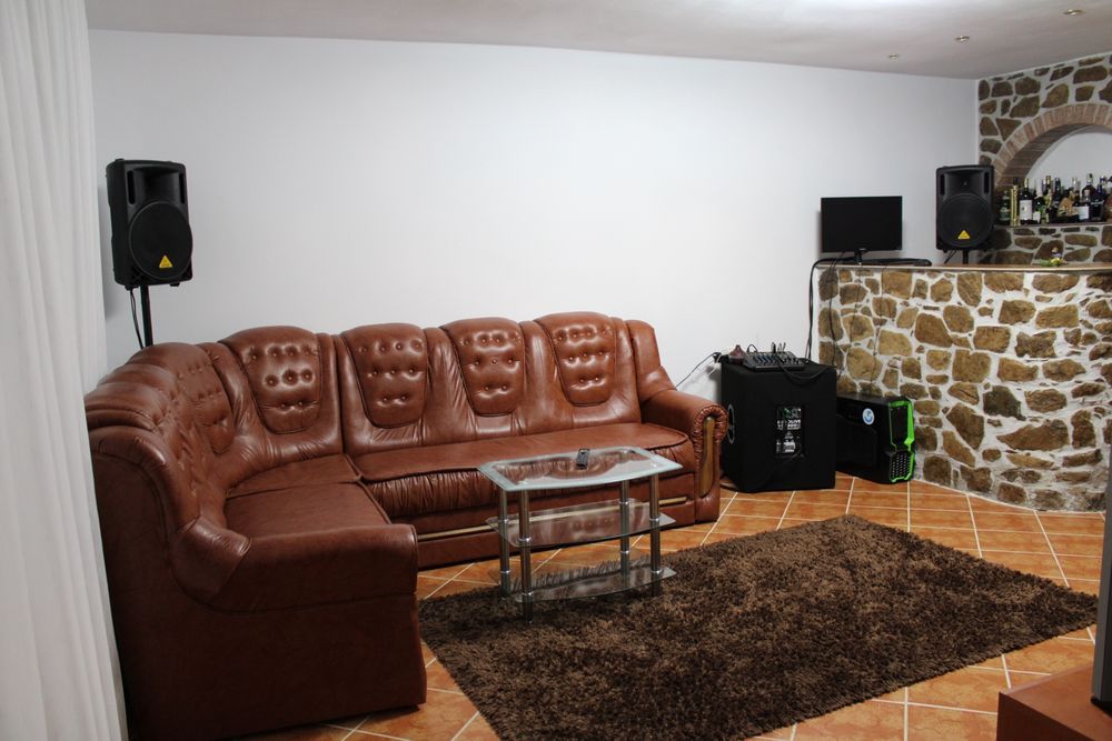 Boxe profesionale behringer