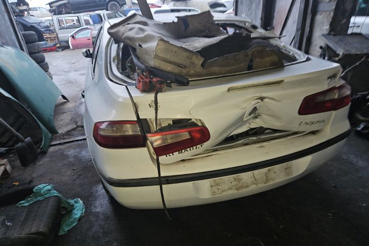 Usa spate stanga - Renault Laguna 2002 1.9 DCi MT (120 hp)