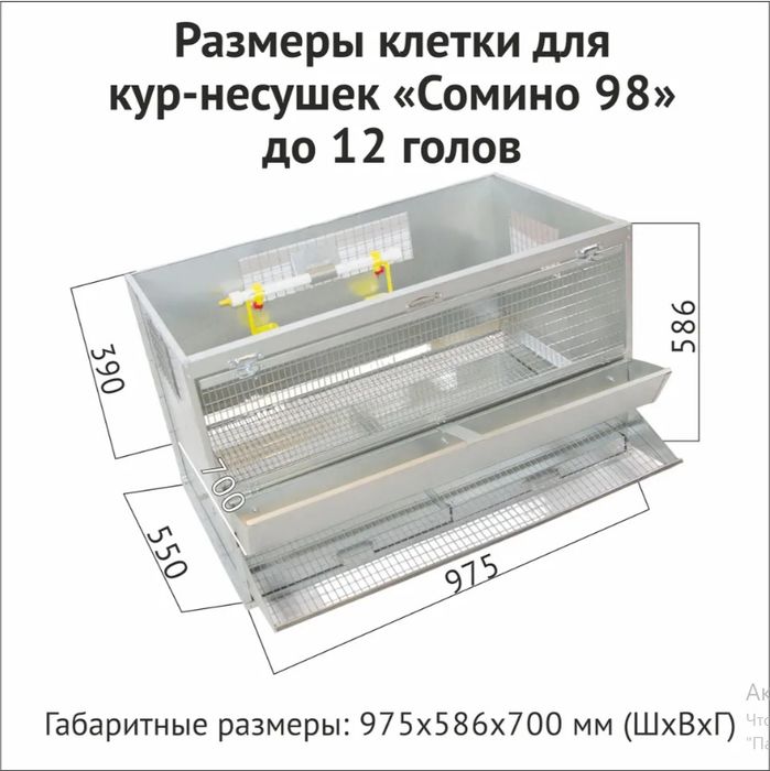 Клетка для кур несушек