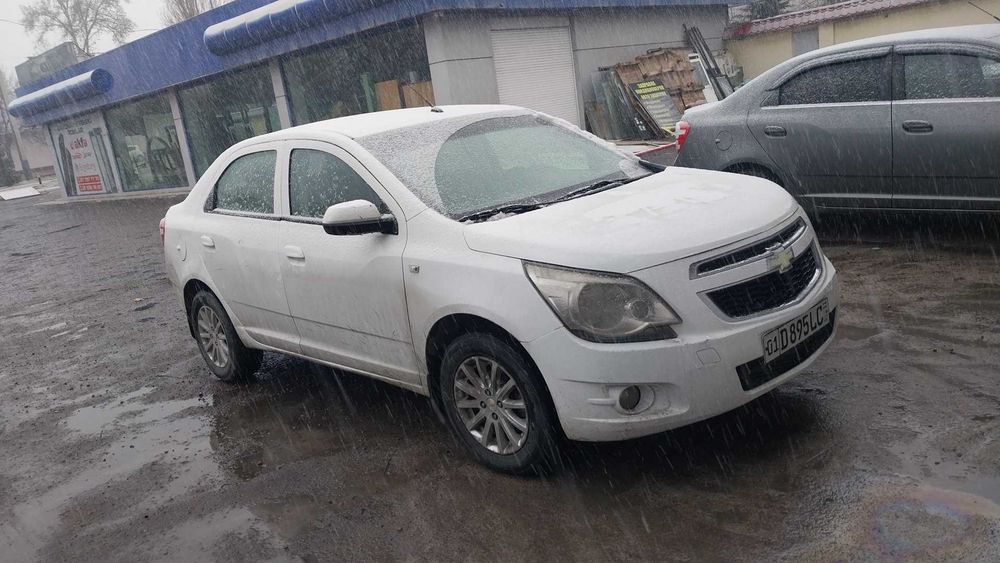 Cobolt на аренду