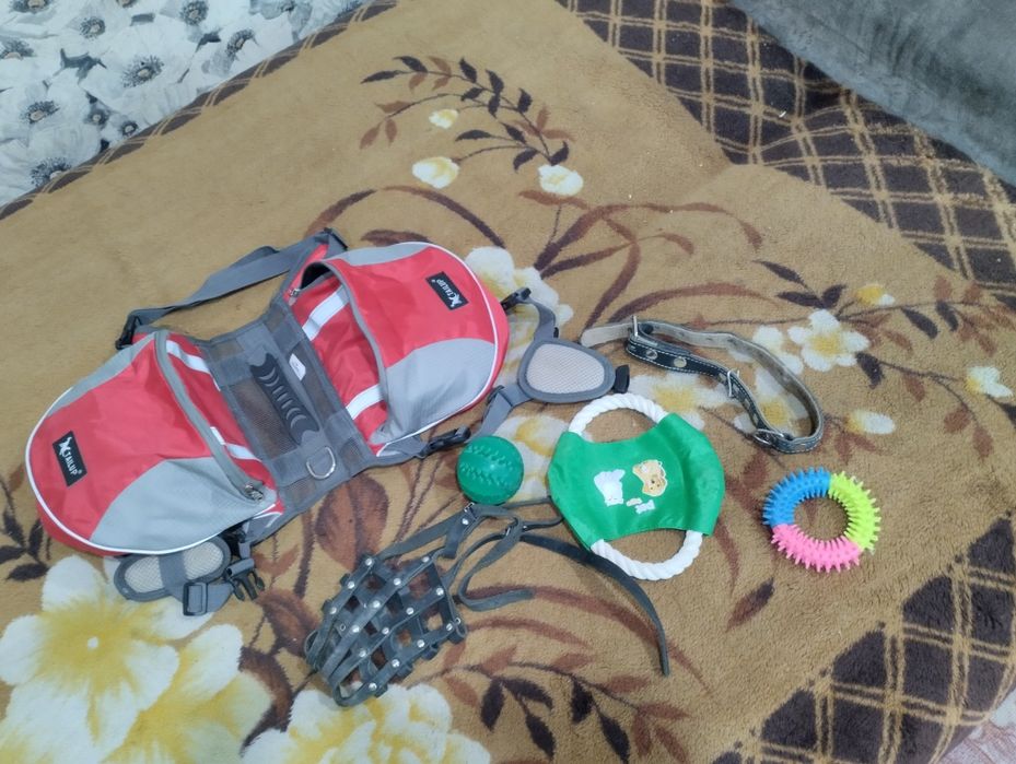 Прогулочная шлейка