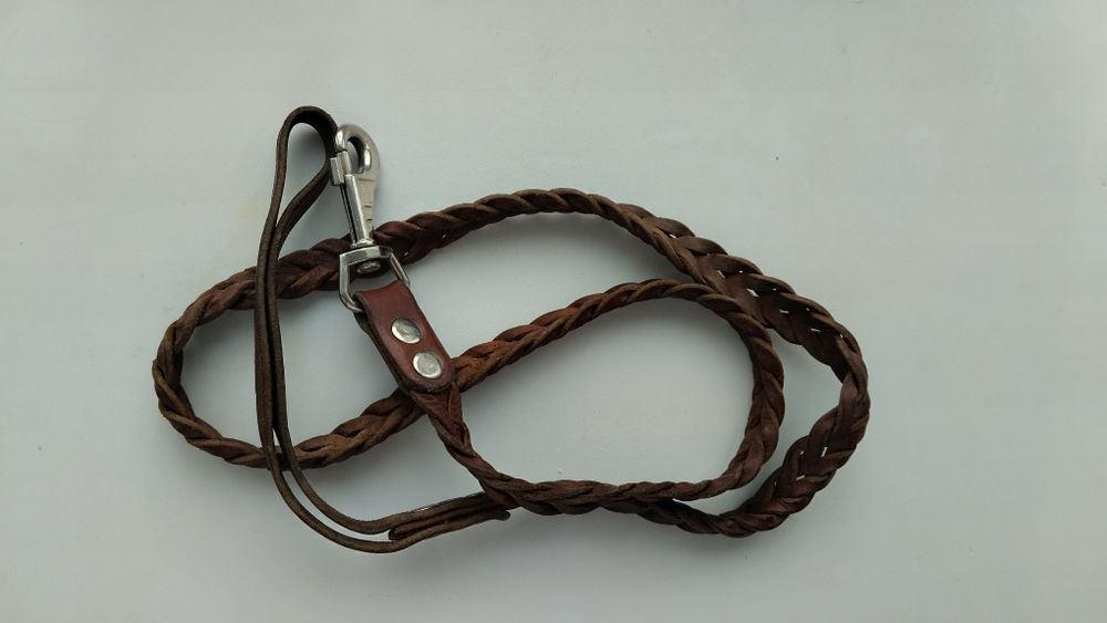 Поводок и намордник для крупной собаки