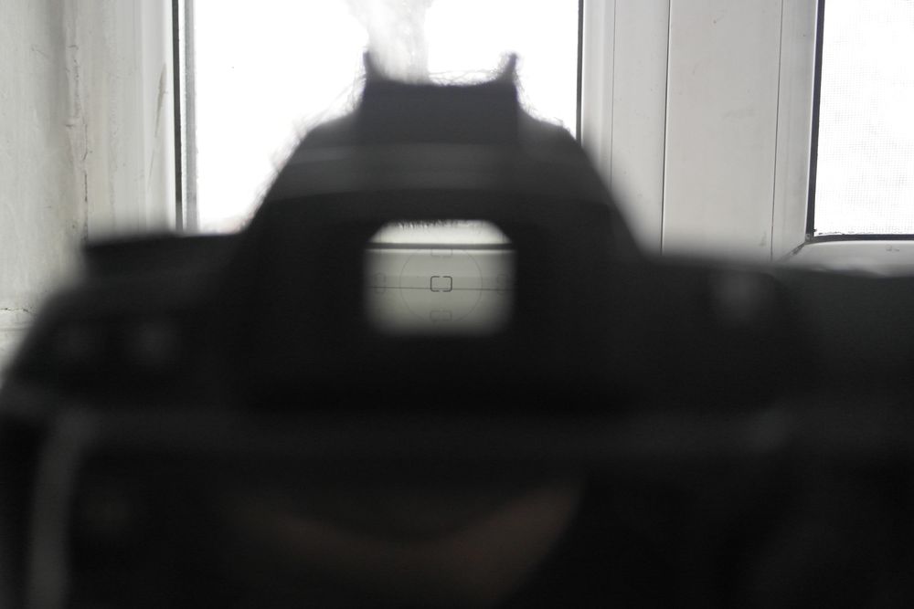 Nikon d70s helios 44-2