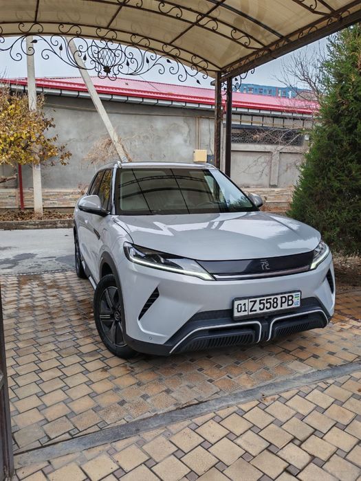 Byd Yuan up 2024 yil