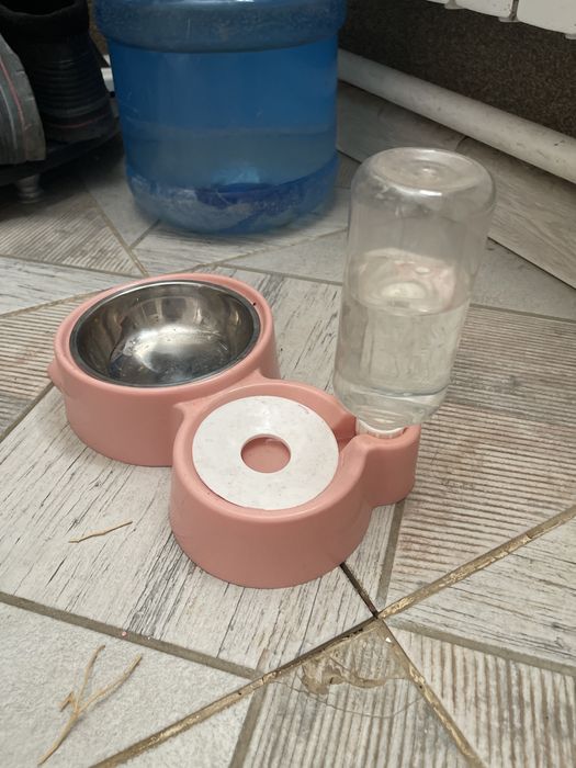Жвдаьащзащ526./&;