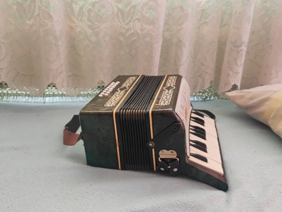 Акордеон   Малыш
