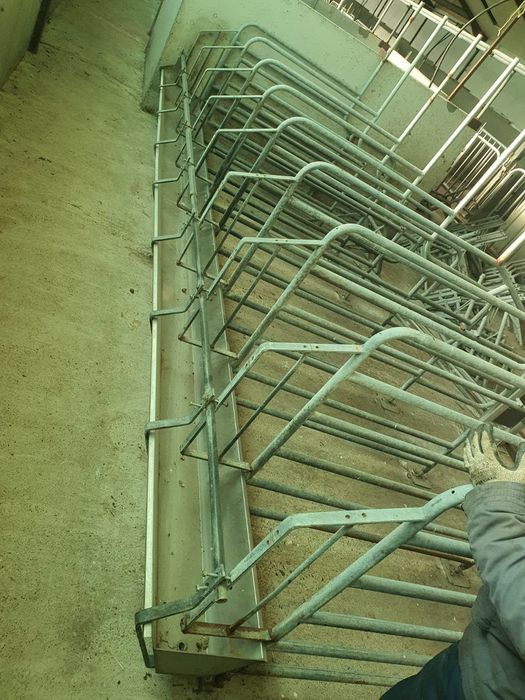 Panouri Boxe zincate  animale scroafe porci vitei zincate