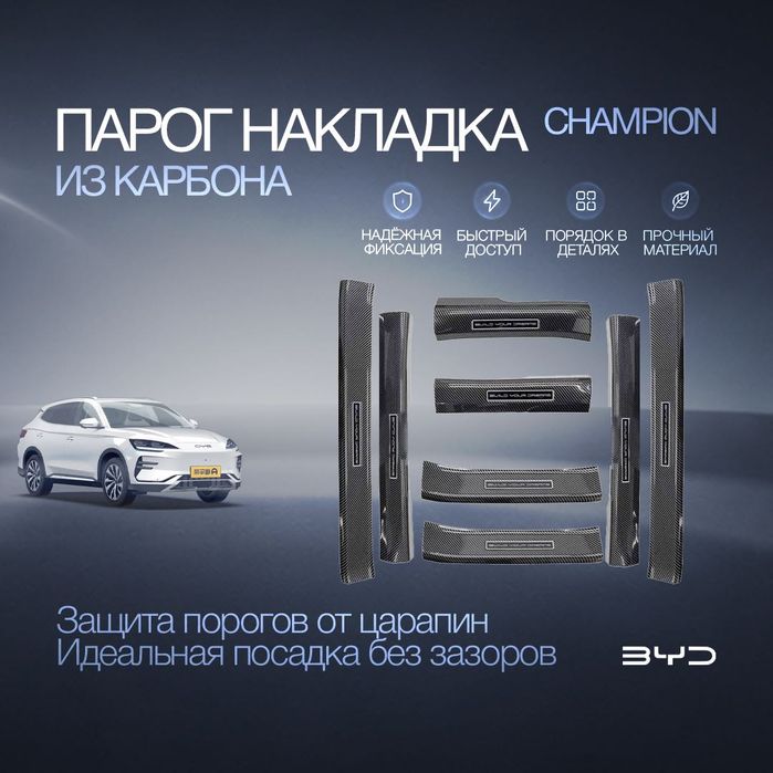 Карбоновые защитные накладки на пороги для BYD Champion