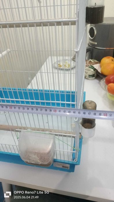 Vand colivie papagal