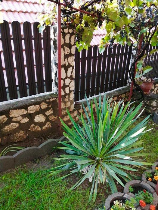 Garduri si porti stil jaluzea, sipca metalica, tabla cutata