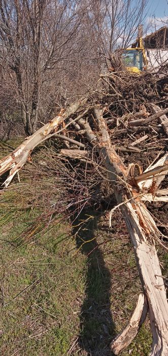 Дърва за огрев различни видове половин и ЦЯЛ Бус