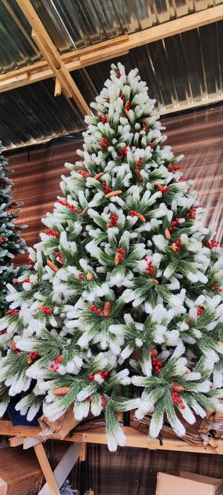 Archalar optim narxlarda