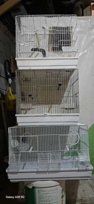 Клеткалар сатылады.