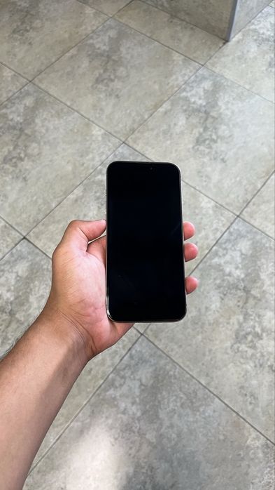 16 pro max sotiladi 256 esim