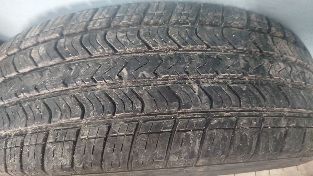 Балом сотилади холати зор