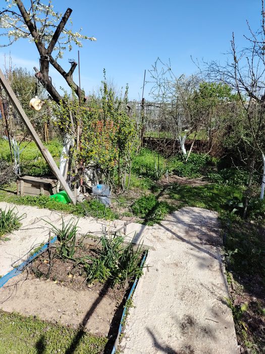 Продам огород СОТ "Родничок."