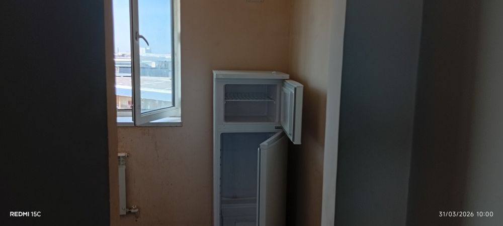 Шарк малочка калсо