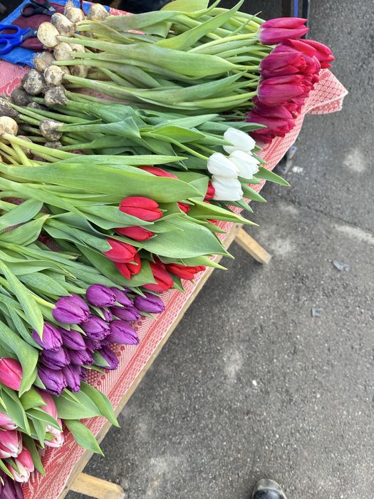 Соберем и Отправим Букет Тюльпаны