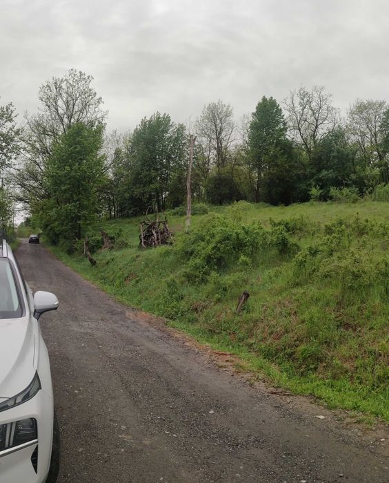 Teren intravilan 4.383 mp – Brad | Toate utilitățile | Zonă liniștită | Priveliște panoramică - Vedere 2
