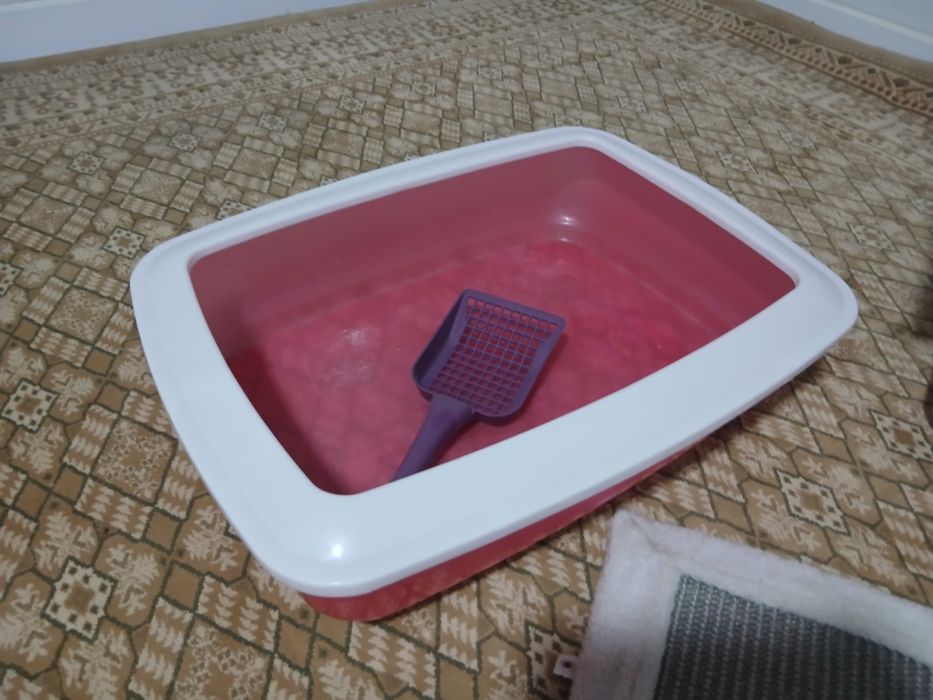 Приборы для кошек б/у