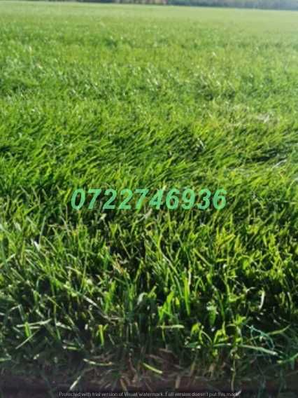 Gazon Rulou Premium pentru Curți cu Aspect Natural