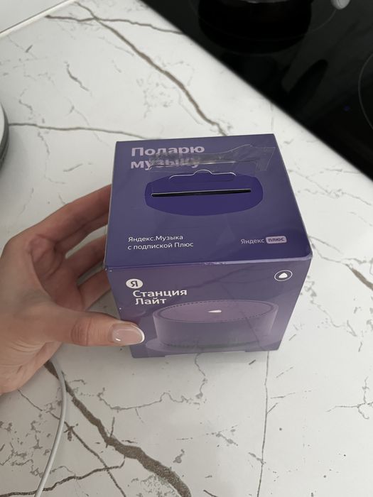 Алиса станция мини