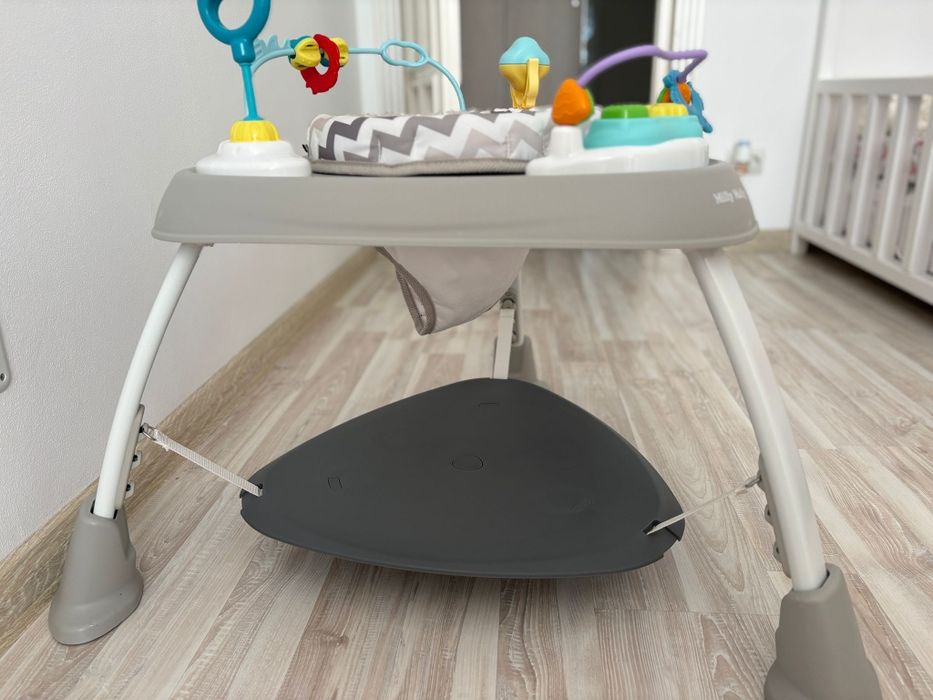 Jumper și centru de activități 360 de grade, Milly Mally, 6 luni +