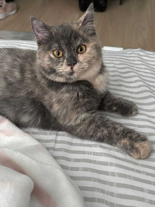 Обаятельная и привлекательная ласкуша