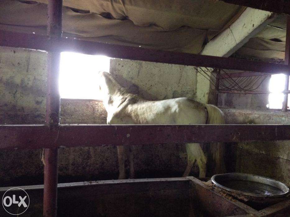 Продам Промбазу/Завод